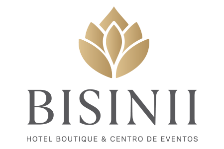 Bisinii Hotel Boutique